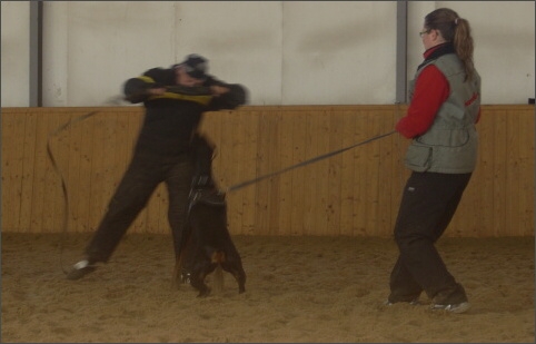 Training in Finland 11/2007